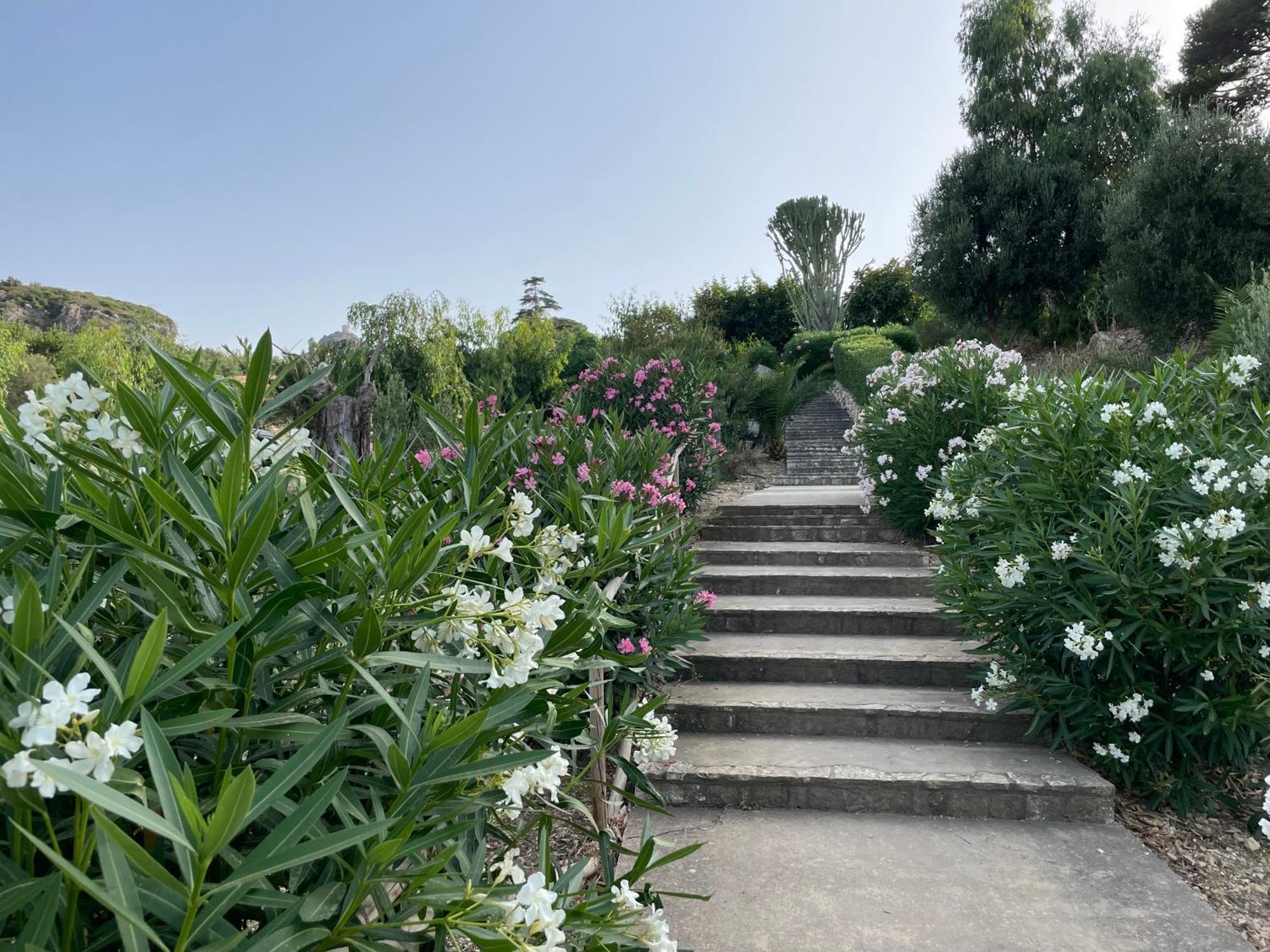 Villa Hibiscus Scopello 斯科佩洛 外观 照片