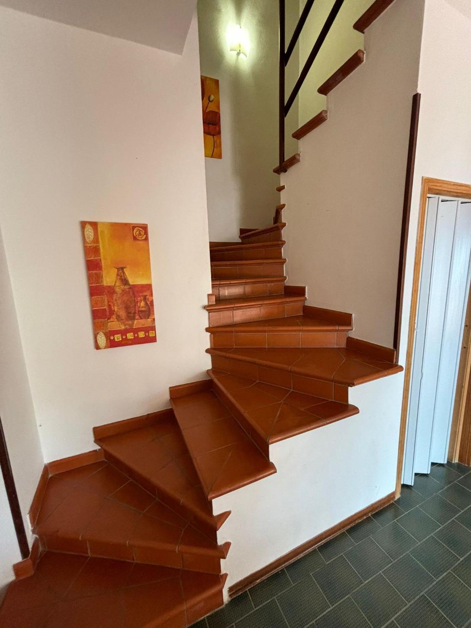 Villa Hibiscus Scopello 斯科佩洛 外观 照片