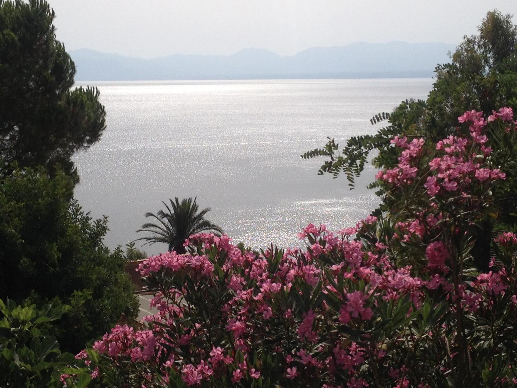 Villa Hibiscus Scopello 斯科佩洛 外观 照片